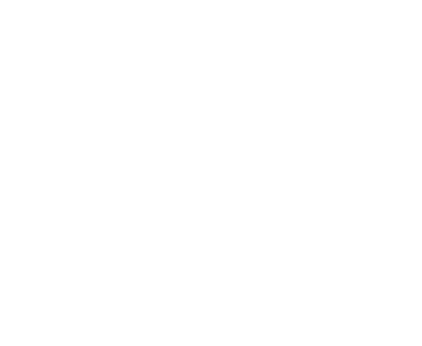 Le Cri Du Son