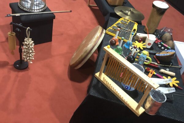 instru lecture bruitée museum toulouse