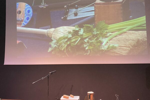 instrumentarium auditorium